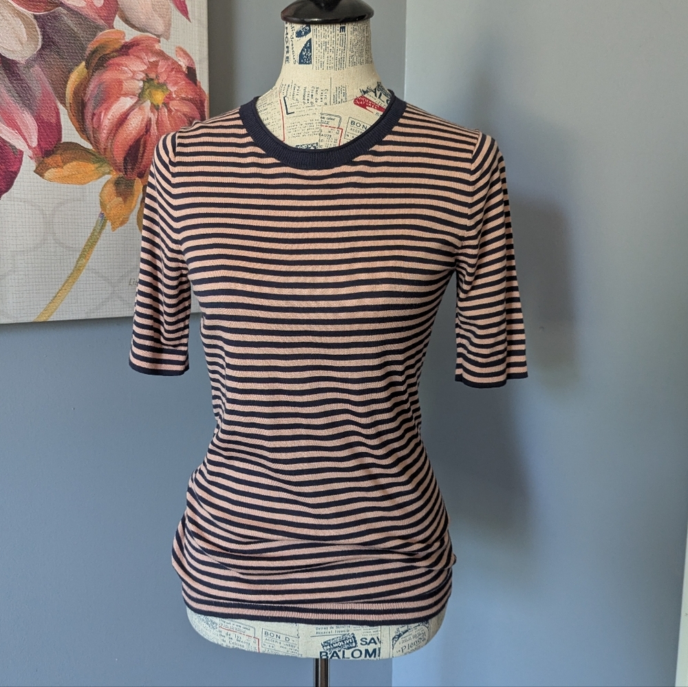 Banana Republic Navy and Pink Striped Crew Neck Sweater